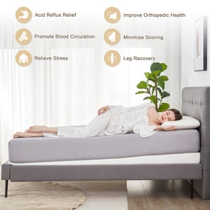 This is the Avatar Image for the Literally Squishy Snoring AI Voice and Text to Speech Generator